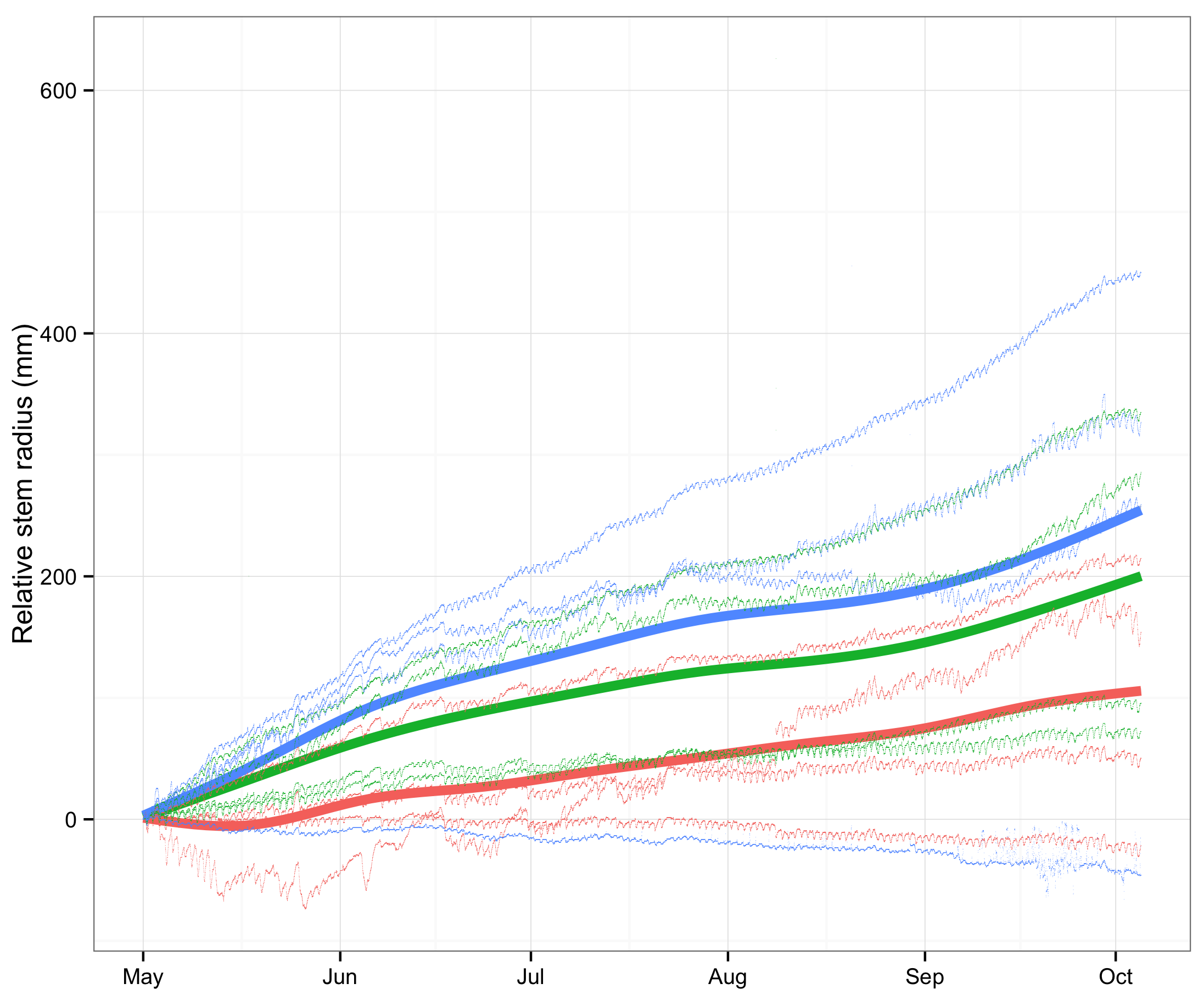 An image of various tree growt 